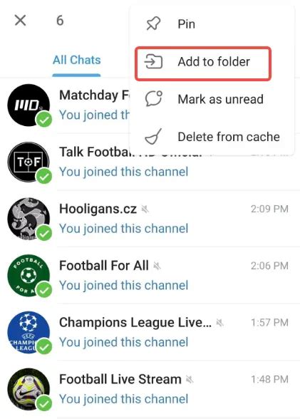 lien telegram match en direct|lien telegram foot streaming.